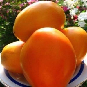 A bright representative of mid-season fruitful varieties - the Radunitsa tomato and tips for its proper cultivation