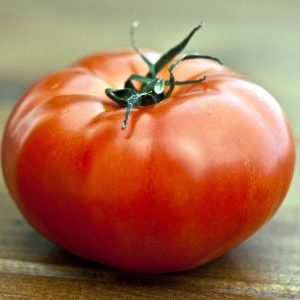 A welcome guest on your site is the Sultan tomato: we grow without hassle and enjoy the harvest