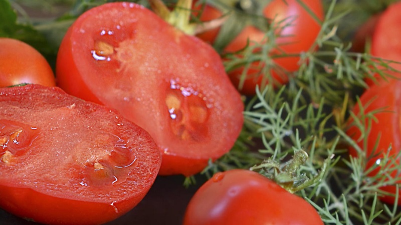 An unpretentious variety that requires minimal care - the Japanese dwarf tomato