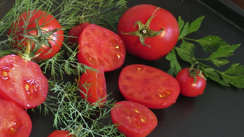 An unpretentious variety that requires minimal care - the Japanese dwarf tomato