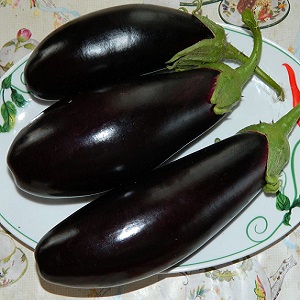 Subtleties of caring for the eggplant variety Black opal and its benefits