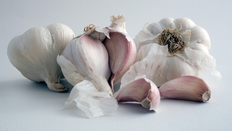 Free universal remedy - garlic peel: useful properties and ways of its use in different fields