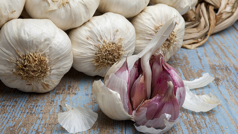 Free universal remedy - garlic peel: useful properties and ways of its use in different fields