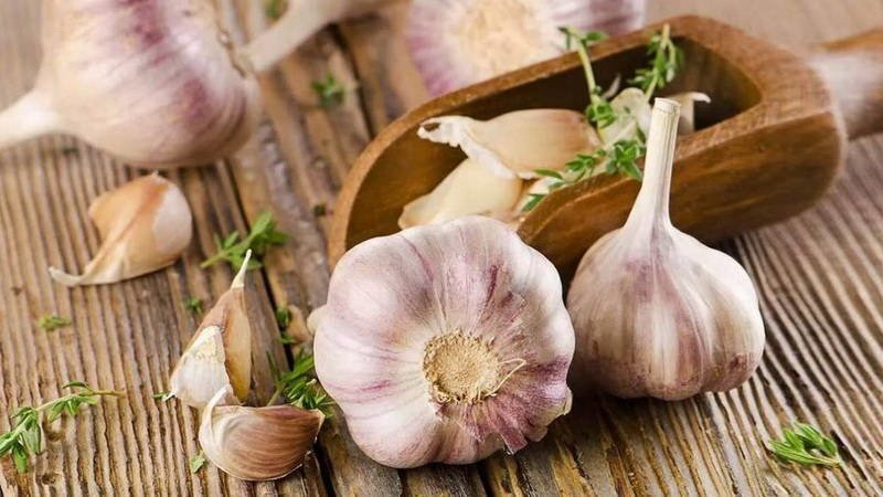 Free universal remedy - garlic peel: useful properties and ways of its use in different fields