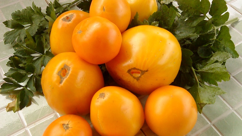Bright sunny medicine straight from the garden: what are the benefits of yellow tomatoes and what vitamins and minerals they contain