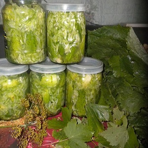 We close cucumbers in our own juice quickly and tasty