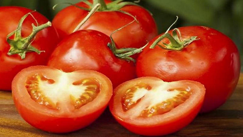 An early rich harvest to the delight of every summer resident - tomato Polbig