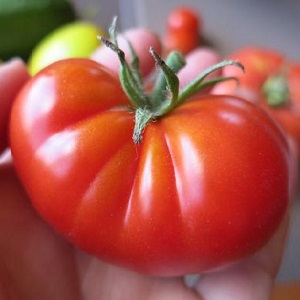Gardeners' favorite tomatoes Bread Salted: we will grow a rich harvest, despite the weather conditions