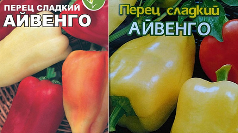 A unique variety with a rich harvest and excellent taste - Ivanhoe pepper: description and tips for growing