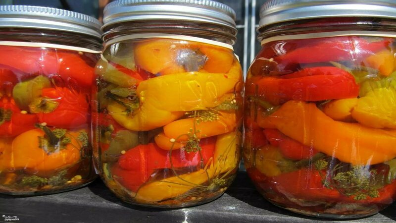 The most delicious and simple recipes for pickled peppers for the winter without sterilizing cans