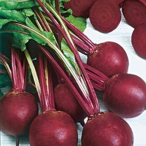 How to properly grow a wonderful Kestrel beet hybrid and how it differs from other species
