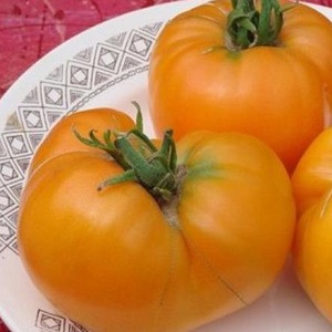 Why Farmers Love Tomatoes Orange Elephant