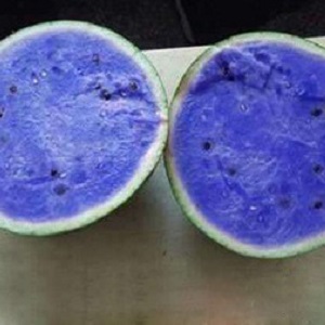 Do blue watermelons exist or is it an internet myth