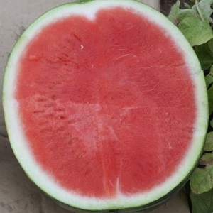 Do blue watermelons exist or is it an internet myth