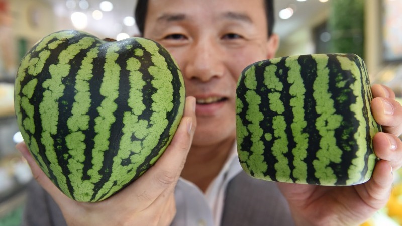 Do blue watermelons exist or is it an internet myth
