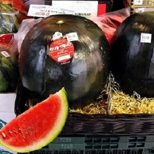 Do blue watermelons exist or is it an internet myth