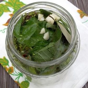 How to easily and deliciously cook lightly salted cucumbers: a selection of the best recipes
