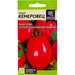 A variety that you will definitely be satisfied with - Kemerovets tomato and the secrets of proper care for it