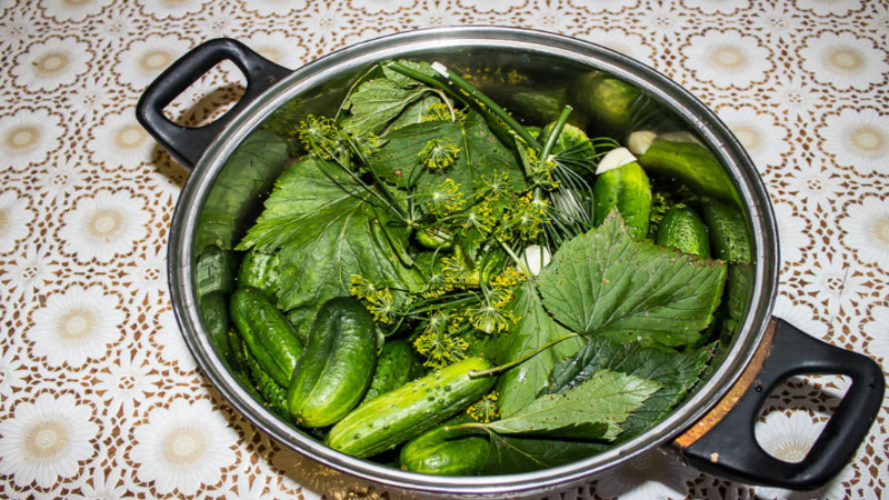 6 of the most delicious pickle recipes in a saucepan