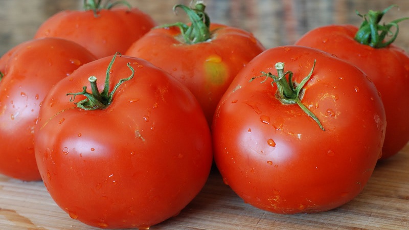 Veteran of domestic selection - early ripening Siberian tomato, time-tested and loved by gardeners