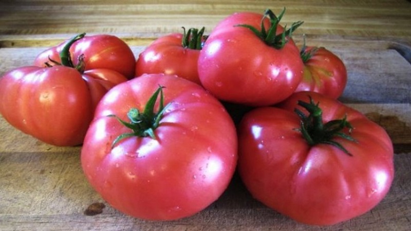 Review of the best varieties of tall tomatoes for open ground: help in choosing and reviews of summer residents