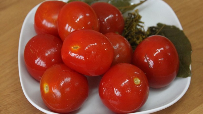 Top 10 best recipes on how to pickle tomatoes in a barrel, features of container preparation and storage of ready-made pickles