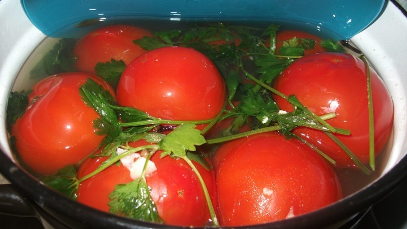 Top 10 best recipes on how to pickle tomatoes in a barrel, features of container preparation and storage of ready-made pickles
