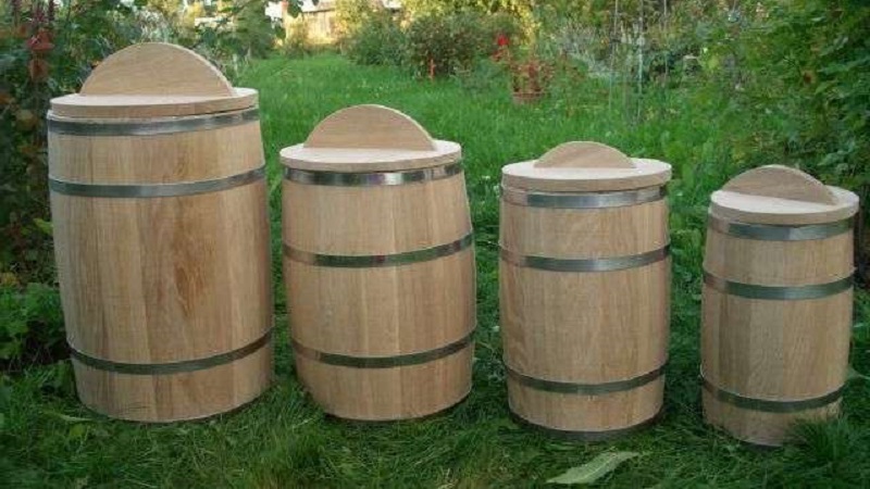 Top 10 best recipes on how to pickle tomatoes in a barrel, features of container preparation and storage of ready-made pickles
