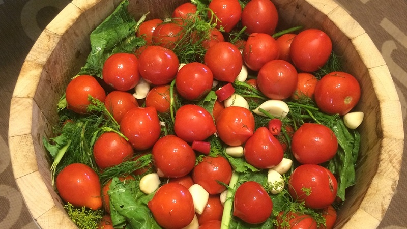 Top 10 best recipes on how to pickle tomatoes in a barrel, features of container preparation and storage of ready-made pickles