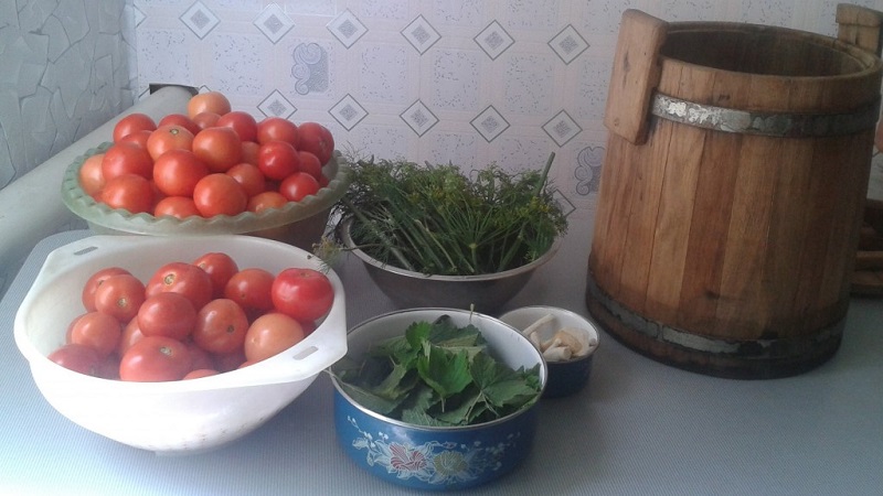 Top 10 best recipes on how to pickle tomatoes in a barrel, features of container preparation and storage of ready-made pickles