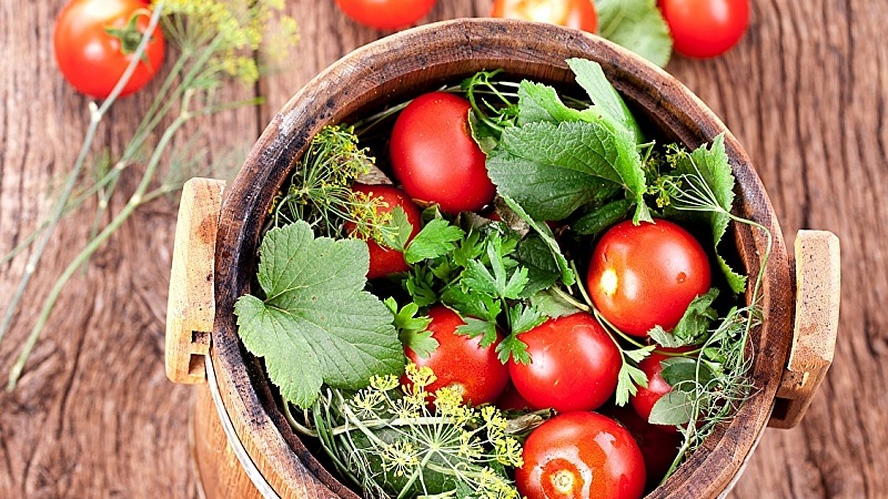 Top 10 best recipes on how to pickle tomatoes in a barrel, features of container preparation and storage of ready-made pickles