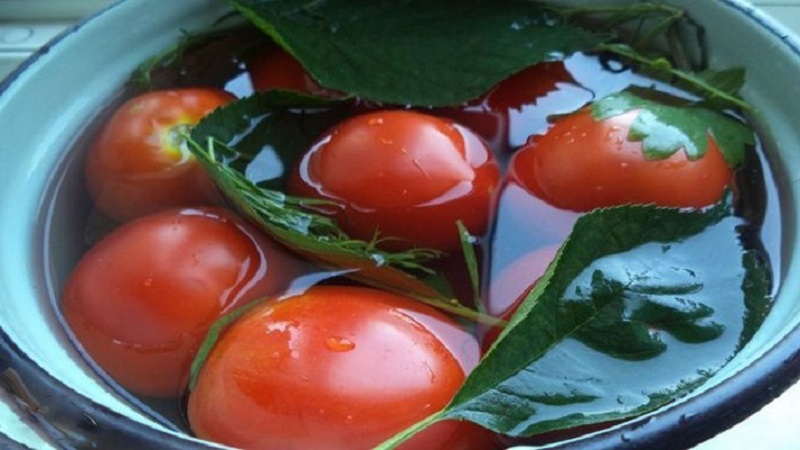Top 10 best recipes on how to pickle tomatoes in a barrel, features of container preparation and storage of ready-made pickles