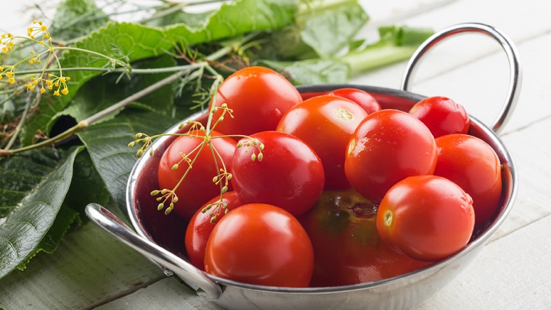 Top 10 best recipes on how to pickle tomatoes in a barrel, features of container preparation and storage of ready-made pickles