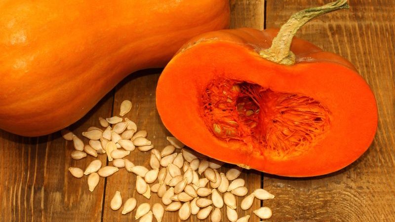 How to store pumpkin at home in an apartment: we create optimal conditions and keep the vegetable fresh for the winter
