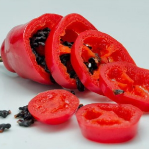 How to collect pepper seeds at home: instructions for the correct harvesting of seed