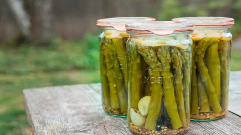 How to quickly and deliciously cook canned asparagus: the best recipes
