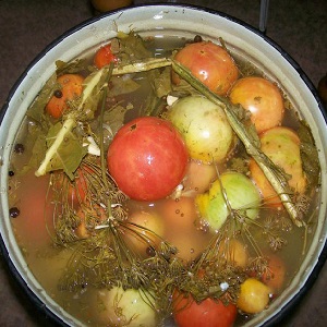 We make delicious preparations with our own hands - salted brown tomatoes: the best recipes and tips for cooking