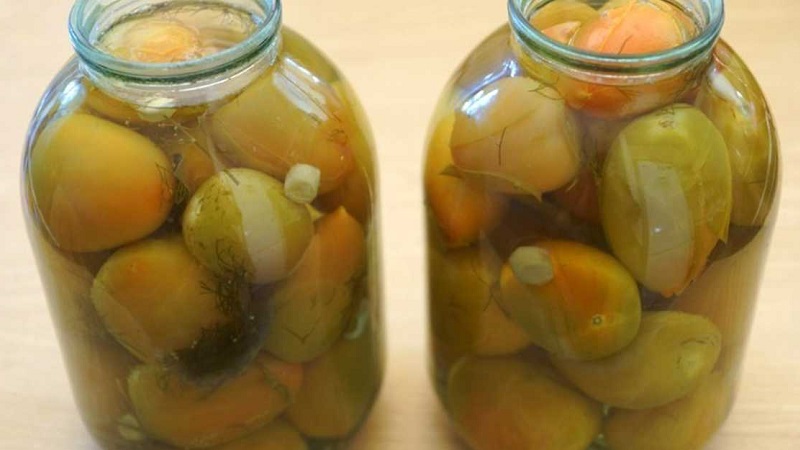 We make delicious preparations with our own hands - salted brown tomatoes: the best recipes and tips for cooking