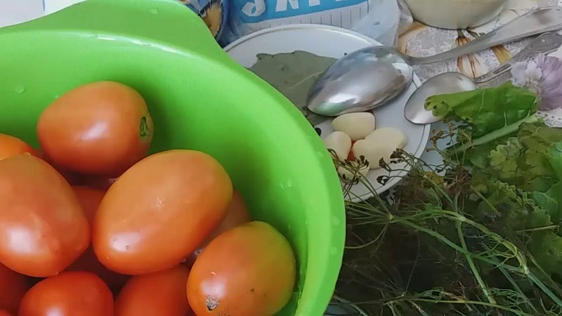 We make delicious preparations with our own hands - salted brown tomatoes: the best recipes and tips for cooking