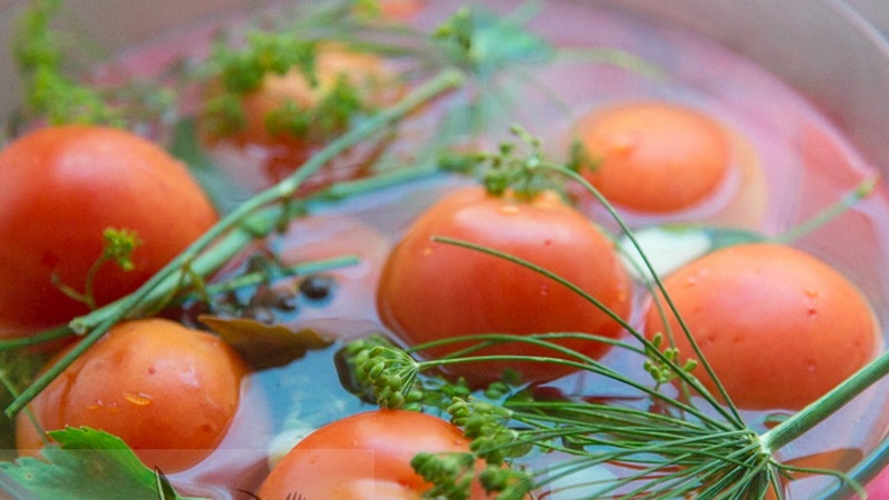 We make delicious preparations with our own hands - salted brown tomatoes: the best recipes and tips for cooking