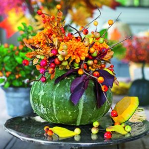 What is fig-leaved pumpkin: features of the species and its use in cooking and traditional medicine
