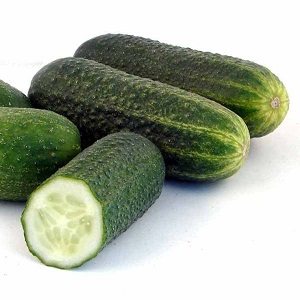 The time-tested and beloved Othello cucumber from Dutch breeders