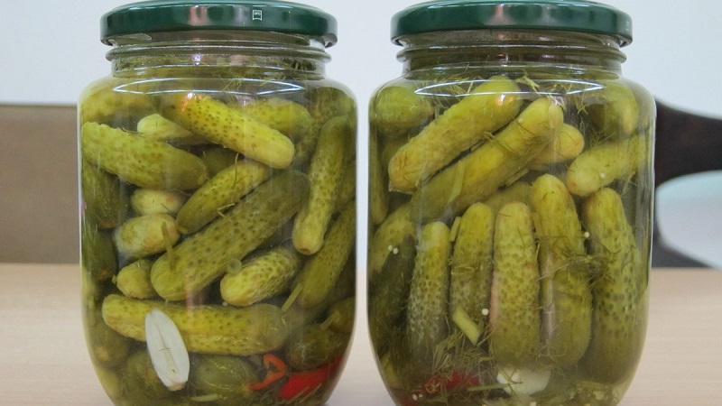 7 most delicious recipes for canned gherkins