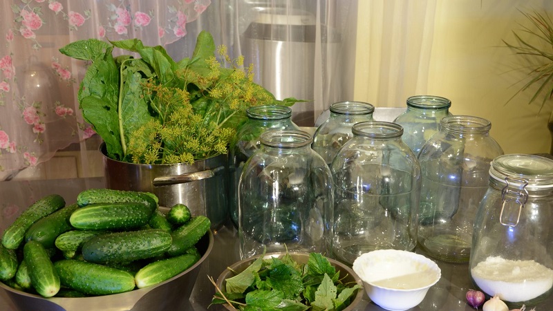 7 most delicious recipes for canned gherkins