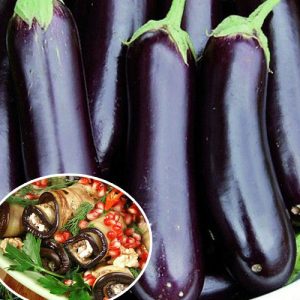 What is good about eggplant Ilya Muromets: reviews of summer residents and features of agricultural technology