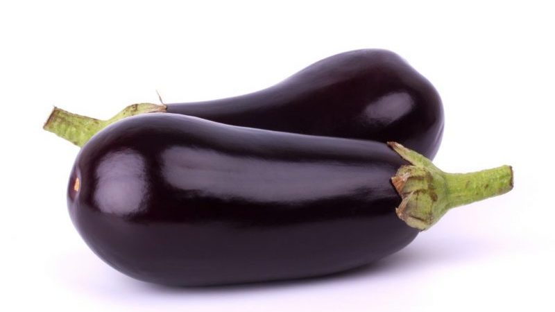 The heat-loving Valentine f1 eggplant hybrid from Dutch breeders