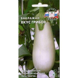 What difficulties does a summer resident need to prepare for when growing eggplant Taste of mushrooms?