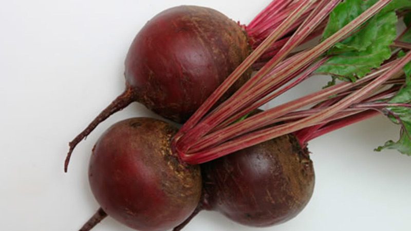Bordeaux beetroot: ideal color and flavor for cooking and long-term storage