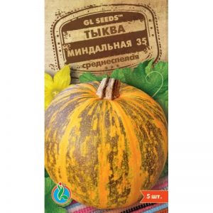Why Almond Gourd is Good and How to Grow It