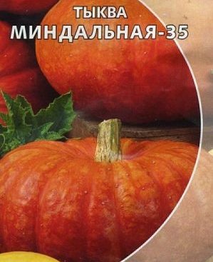 Why Almond Gourd is Good and How to Grow It